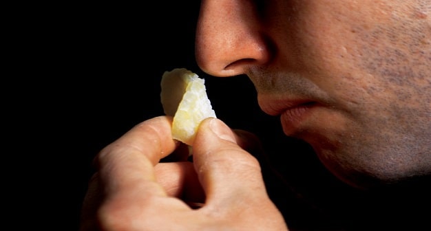 Indra Penciuman Hilang? Berikut Cara Mengatasi Indra Penciuman yang Hilang