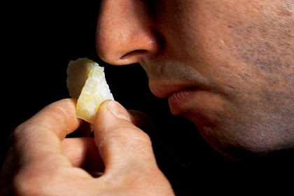 Indra Penciuman Hilang? Berikut Cara Mengatasi Indra Penciuman yang Hilang