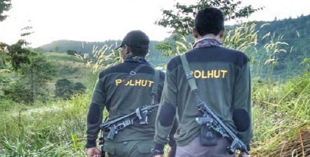 Intip Besaran Gaji Polisi Hutan (Polhut)