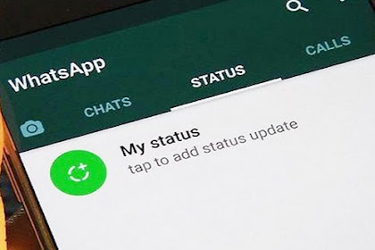 Cara Download Status WhatsApp