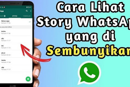 Cara Melihat Status WA Tanpa Menyimpan Nomor